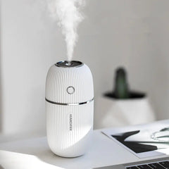 Creative Mini USB Humidifier - Cute Night Light Gift