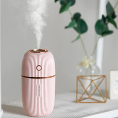 Creative Mini USB Humidifier - Cute Night Light Gift